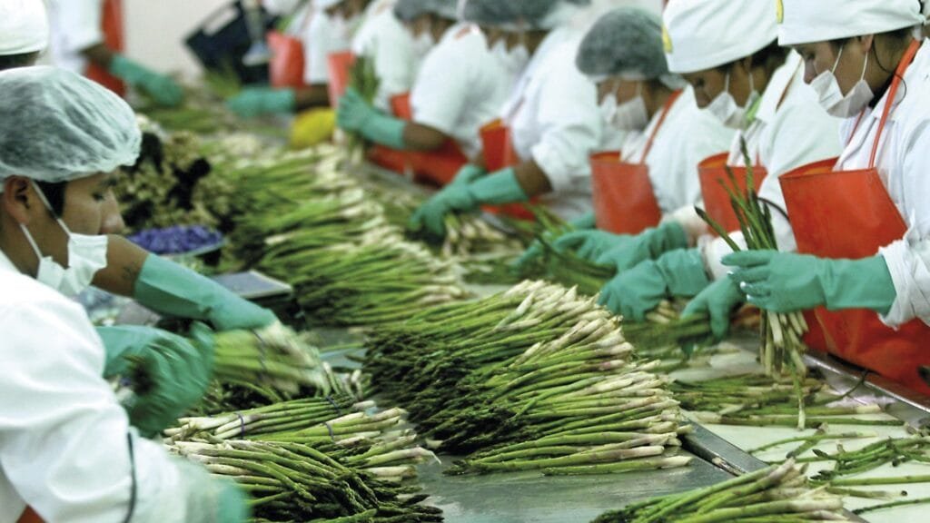Revolución de la agroexportación en Perú