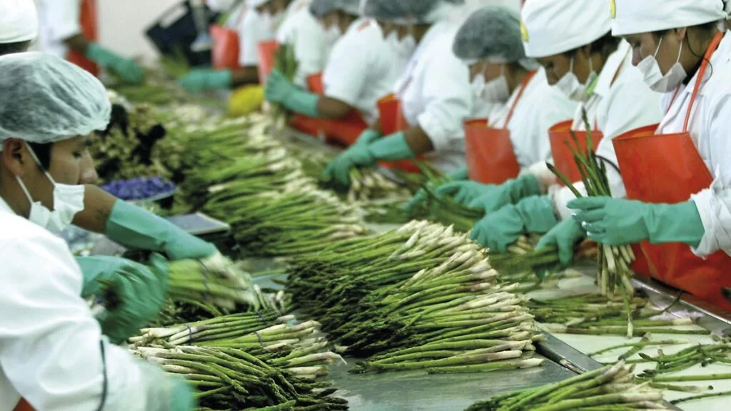 Revolución de la agroexportación en Perú