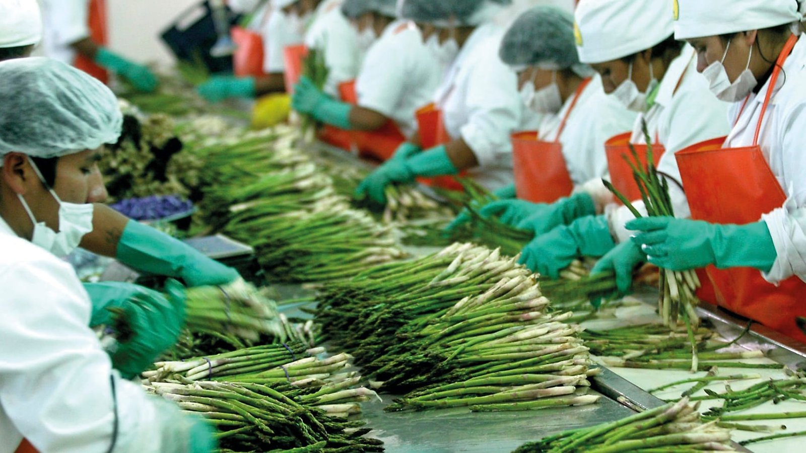 Revolución de la agroexportación en Perú
