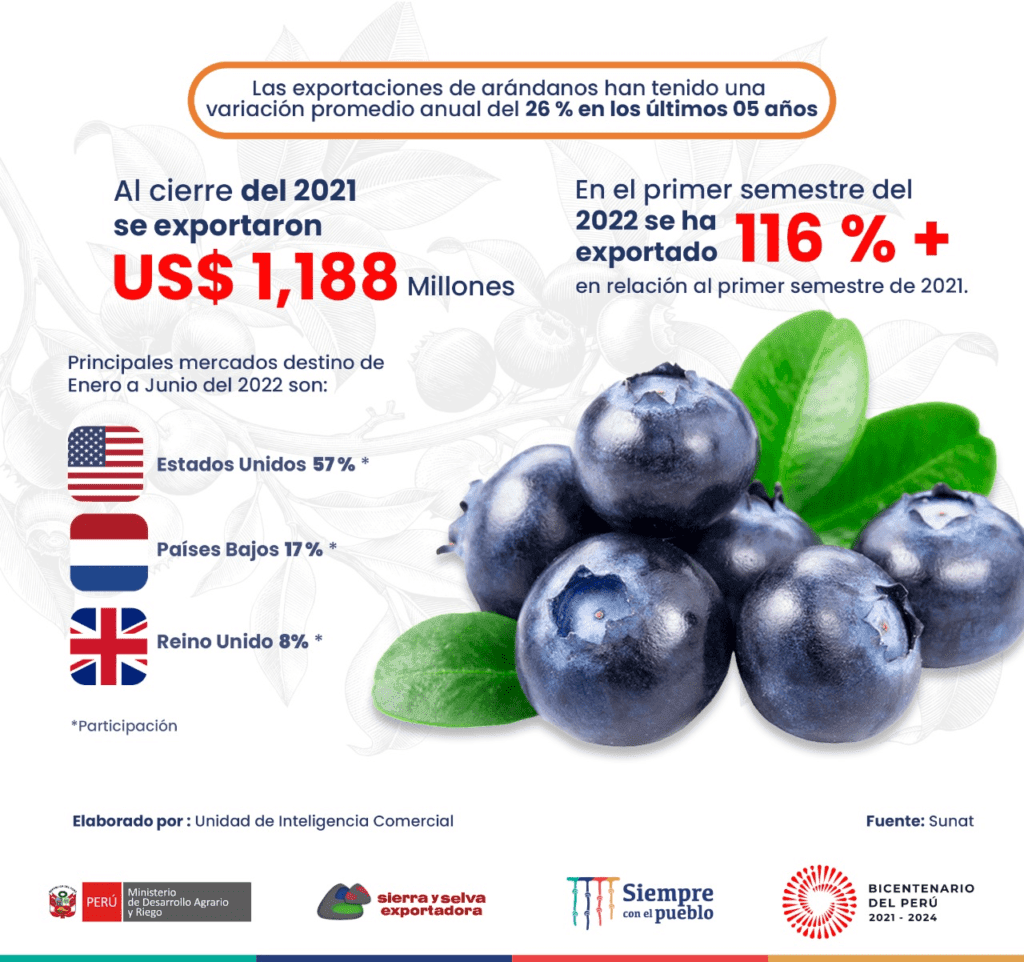 La Diversificación como Estrategia: De los Espárragos a los Arándanos en la agroexportación de perú